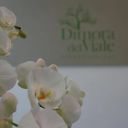 Dimora Del Viale